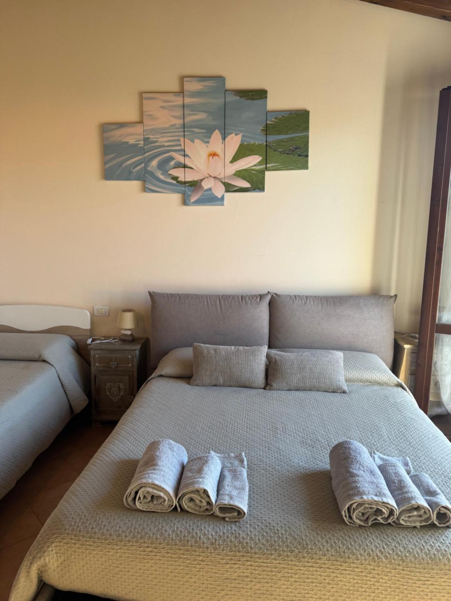 Beb Ulivo Bed & Breakfast Santa Giuletta Exterior photo
